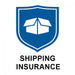 Extra Insurance 35 - SPSI Inc.